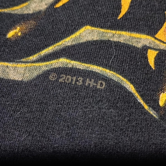 2013 Harley Davidson Reverse Tie Dye Asheville, North Carolina T-shirt - Picture 5 of 6